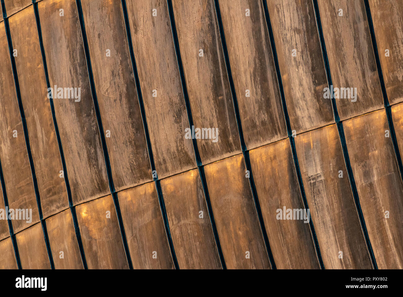 Dettagli di acciaio arrugginito fogli strutturali, utilizzato per esterno superficie di copertura in organic design architettonico. Superficie con tracce di zinco. Foto Stock