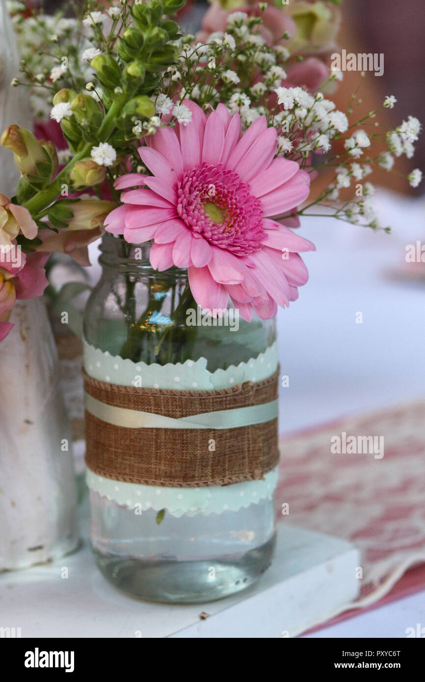 Una bella immagine di un fiore rosa in un vaso. Foto Stock