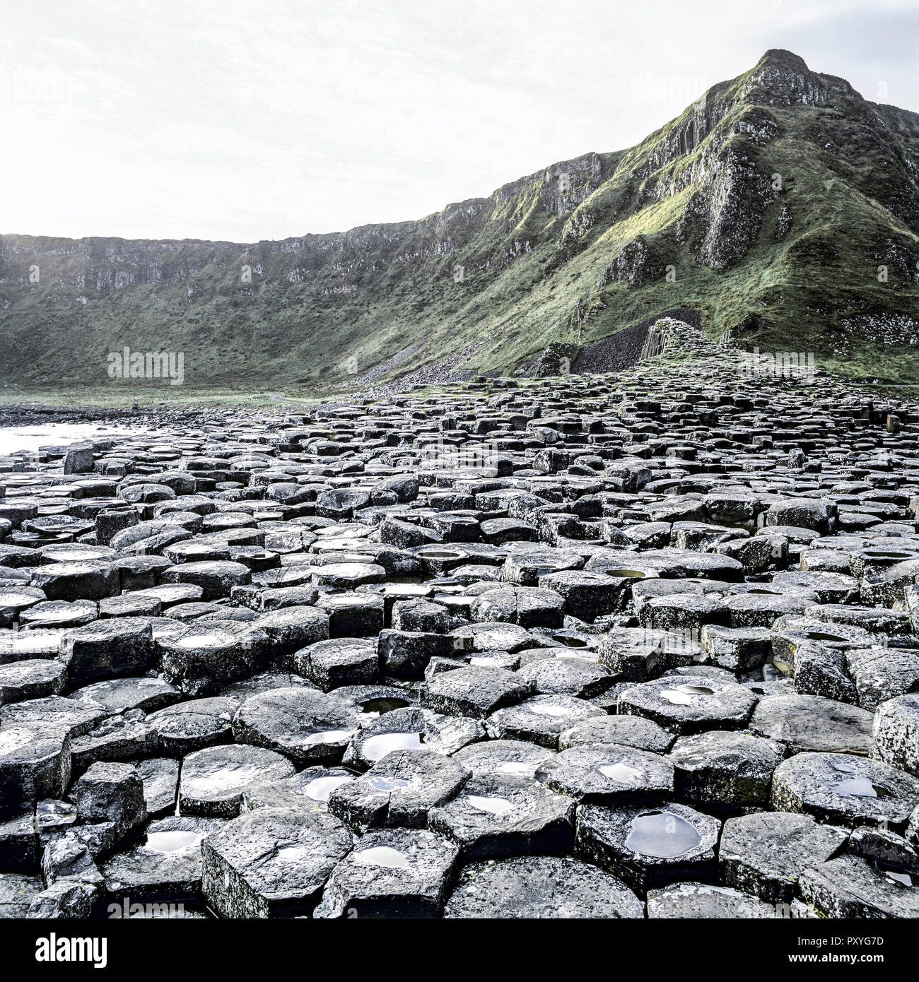 Un Basaltsaeulen Kueste, Nordirland Foto Stock