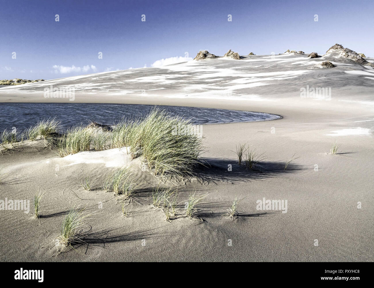Neuseeland, Suedinsel, Golden Bay, Duenen von Farewell Spit Foto Stock