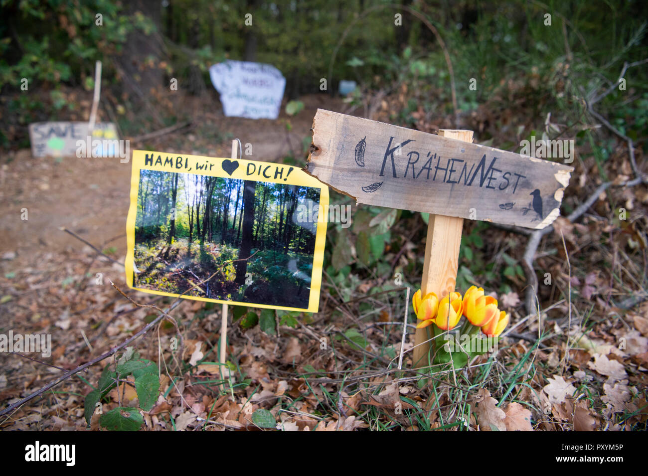 Kerpen, Germania. 24 ott 2018. 24 ottobre 2018, Germania, Kerpen: nella foresta di Hambach vi sono segni di terra dicendo "Hambi ti amiamo' e 'Crow's Nest". Credito: Christophe Gateau/dpa/Alamy Live News Foto Stock