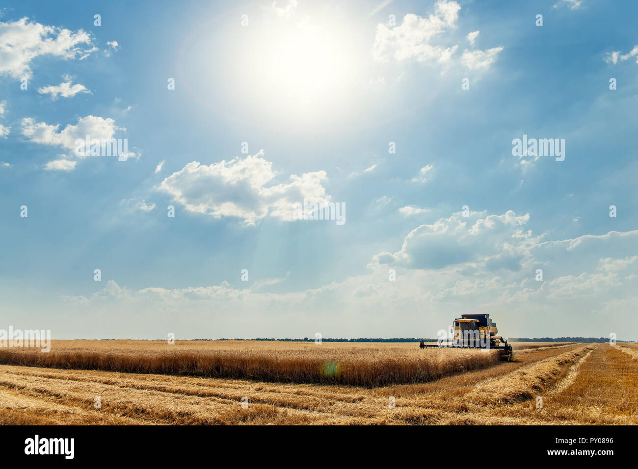 Mietitrice su campo Foto Stock