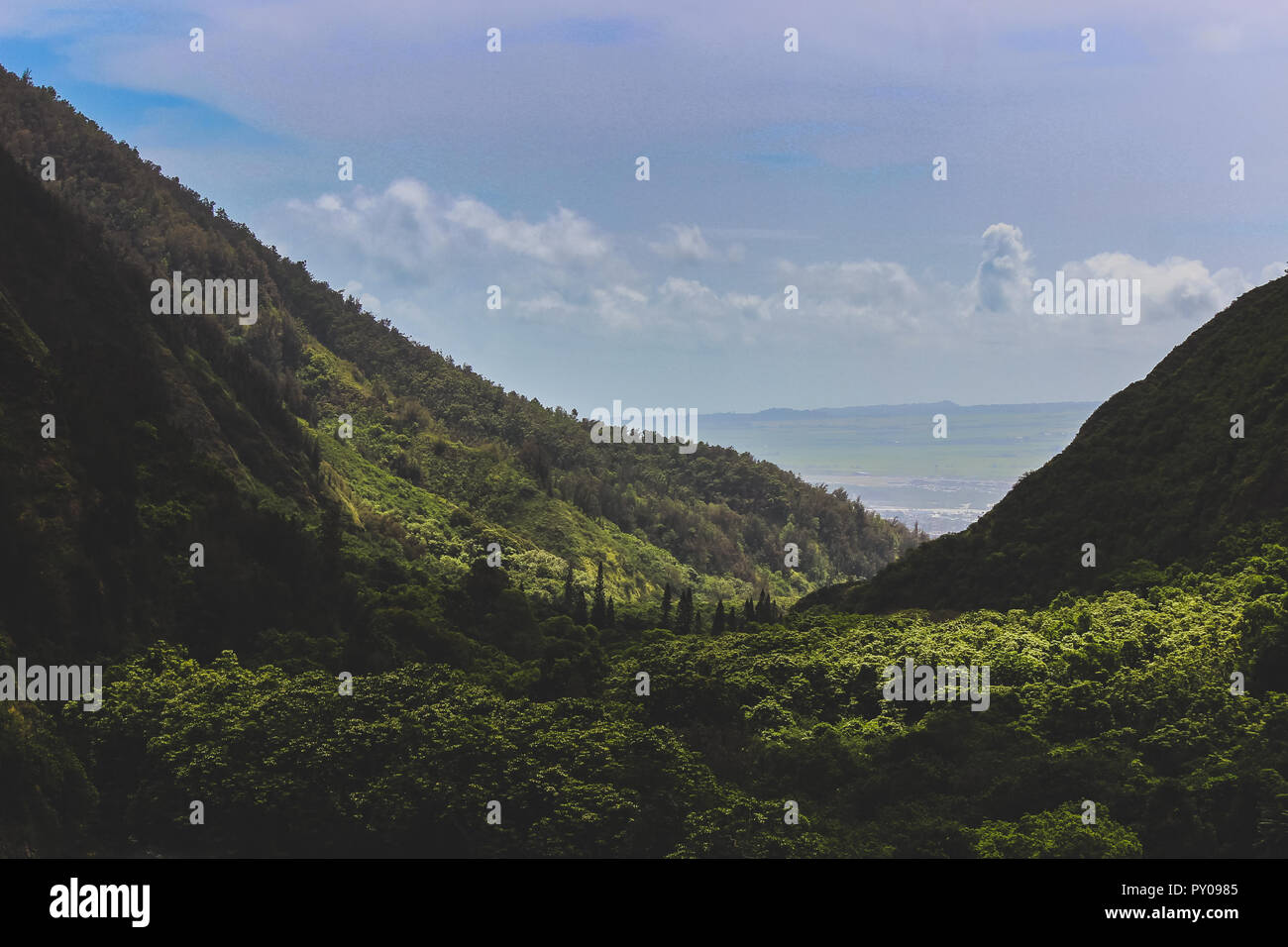 Bella vista in elevazione del verde e lussureggiante Iao Valley con seascape in distanza, Iao Valley State Park, Wailuku, Maui, Hawaii Foto Stock