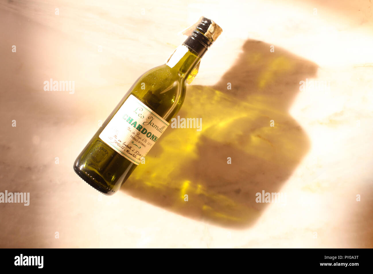 Piccolo vuoto bottiglia Chardonnay in bella luce su sfondo chiaro, Chardonnay, Borgogna, Francia Foto Stock