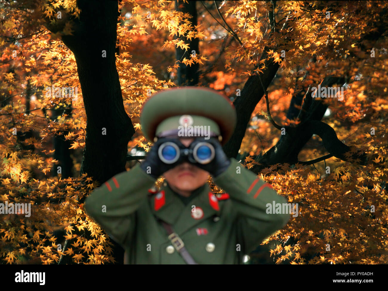 North Korean soldier guardando attraverso il binocolo contro autumn tree, Kumgang San, Kumgang, Corea del Nord Foto Stock