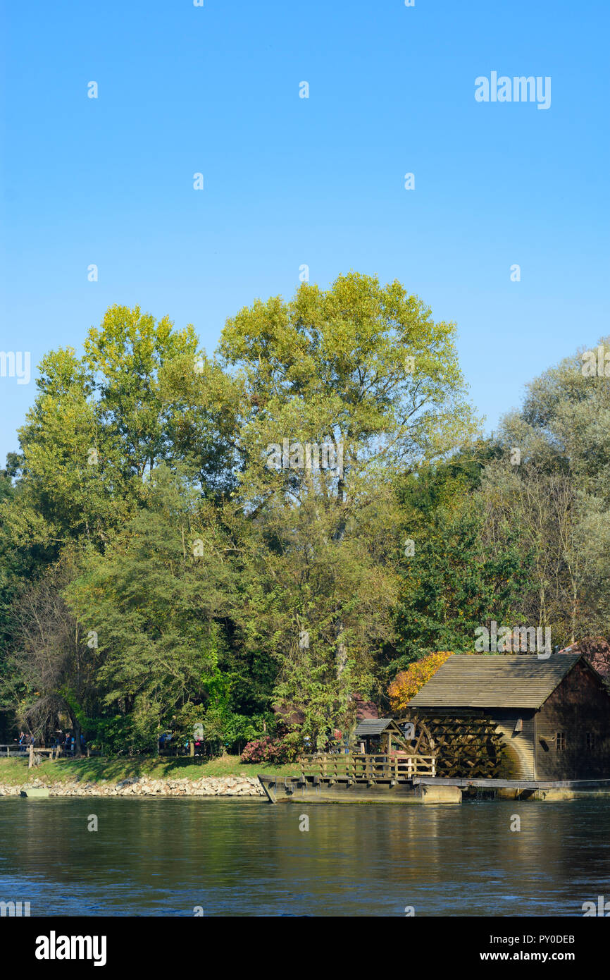 Izakovci: fiume Mura, vecchia nave antico mulino in , Prekmurje (Übermurgebiet), Slovenia Foto Stock