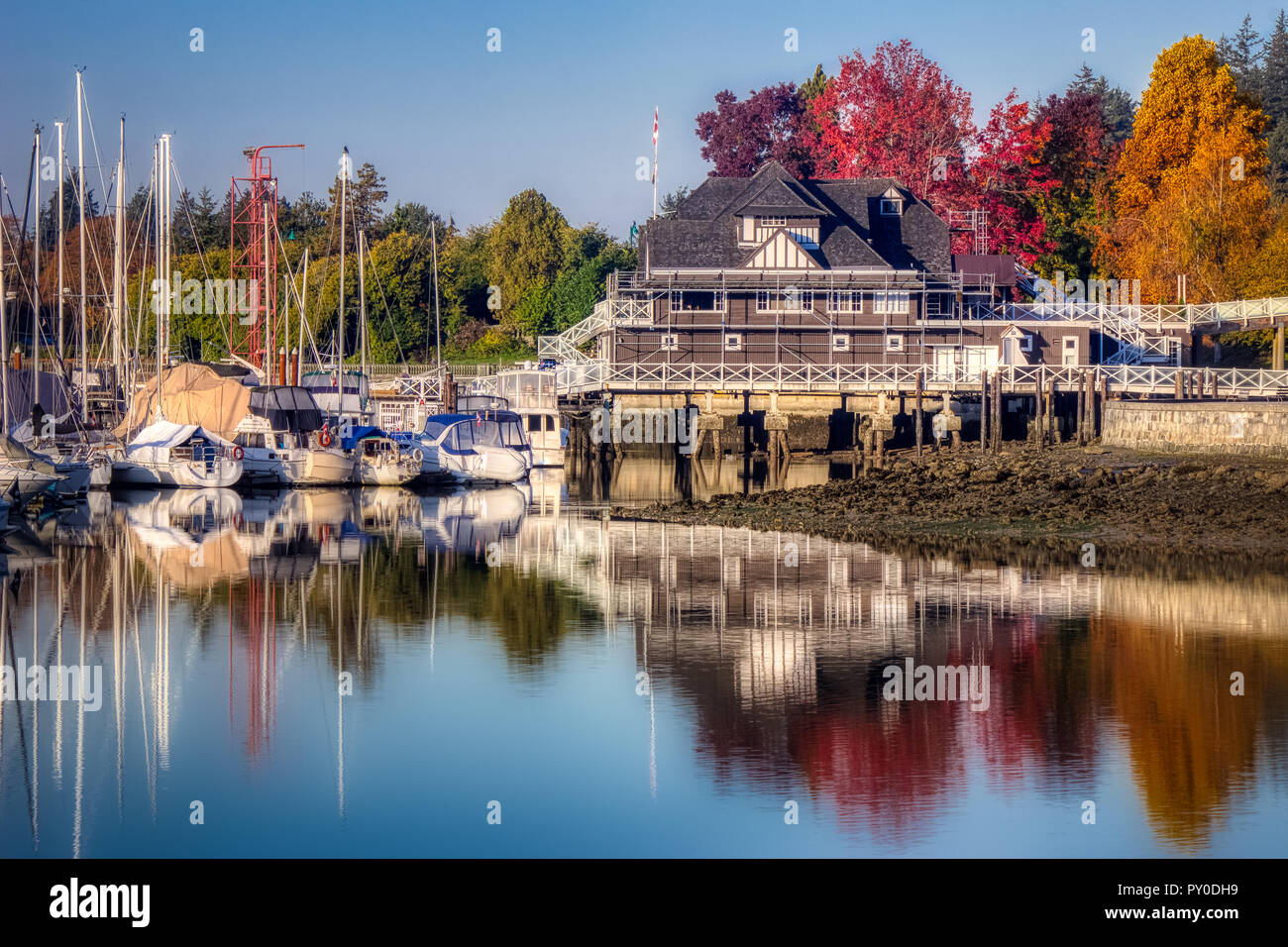 La vibrante Foglie di autunno e di acqua calma visto lungo il Parco Stanley Seawall percorso in corrispondenza di sunrise, Vancouver, British Columbia Foto Stock