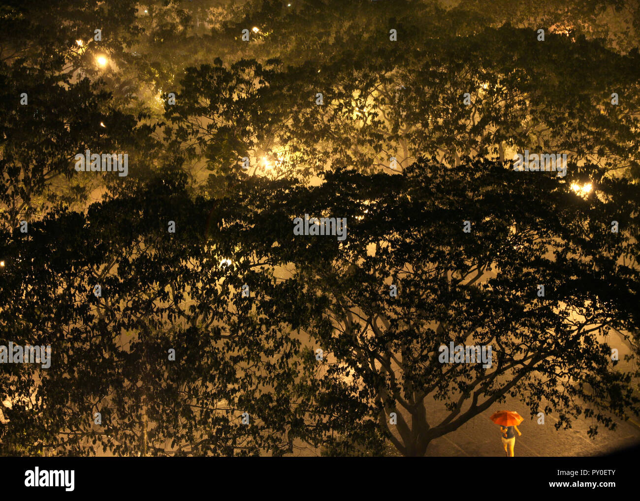 Elevato angolo di vista ad albero e donna sotto l ombrello rosso durante l'acquazzone in Salcedo Park in Makati City Makati Manila, Filippine Foto Stock