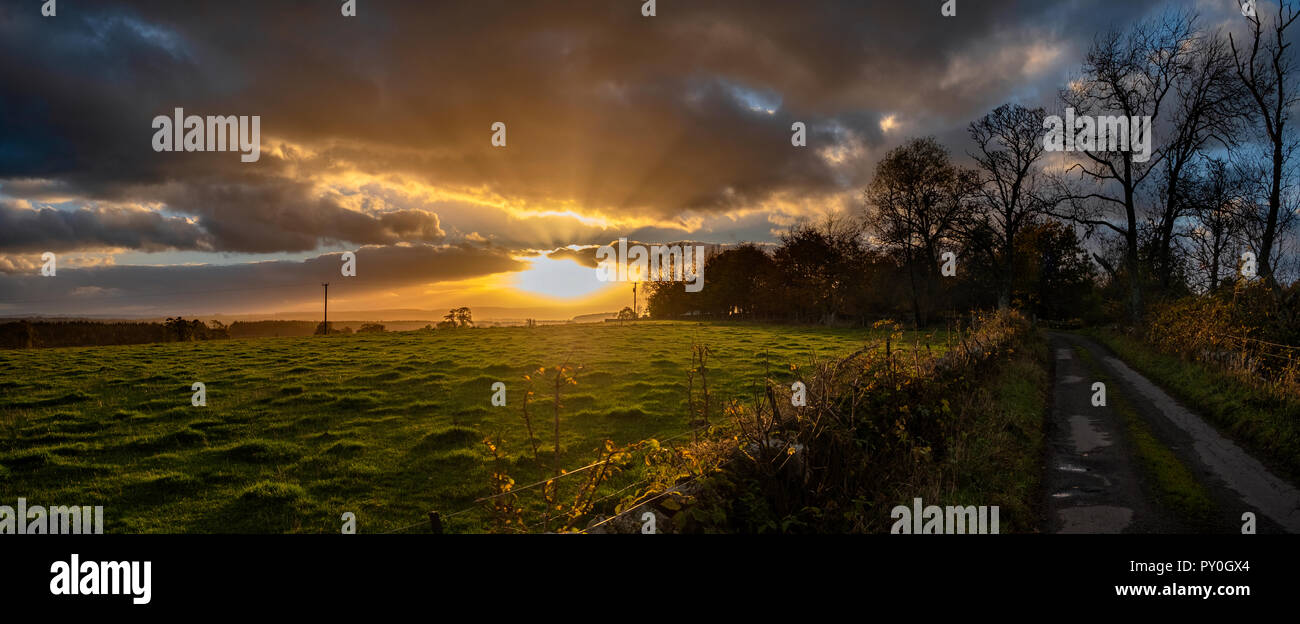 La corsia in esecuzione da Dykehead a Gartur Agriturismo vicino a Porto di Mentieth, Stirling, Scozia come il sole tramonta sul Forth Valley in una giornata autunnale. Fujif Foto Stock