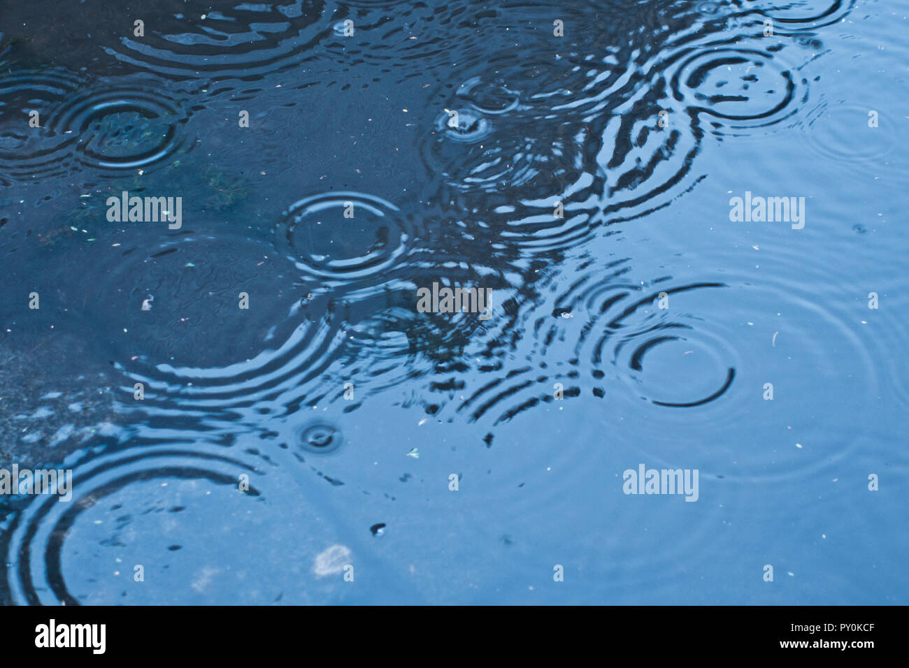 Gocce di pioggia che cade in una piscina di acqua, la creazione di increspature Foto Stock