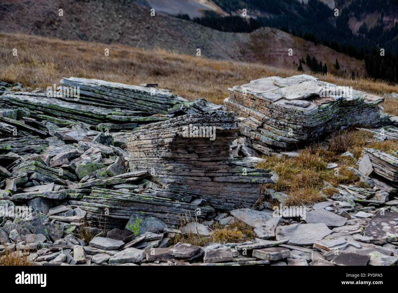 Sedimenti di vari ambienti antichi impiegano milioni di anni per lithify in strati sovrapposti che vediamo nelle montagne rocciose. Foto Stock