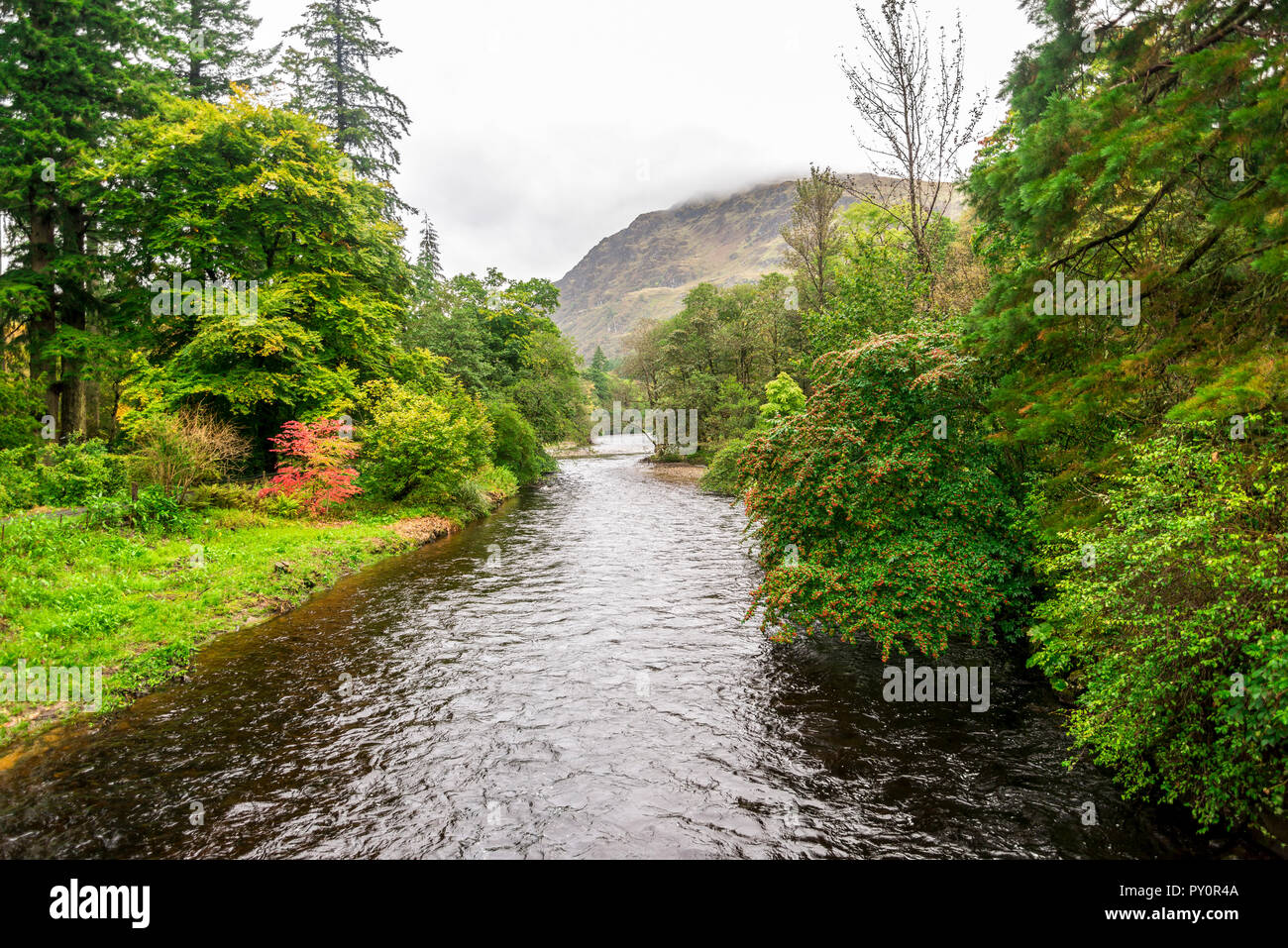 Fiume Eachaig con una montagna su uno sfondo, Loch Lomond e il Trossachs National Park, Scozia Foto Stock