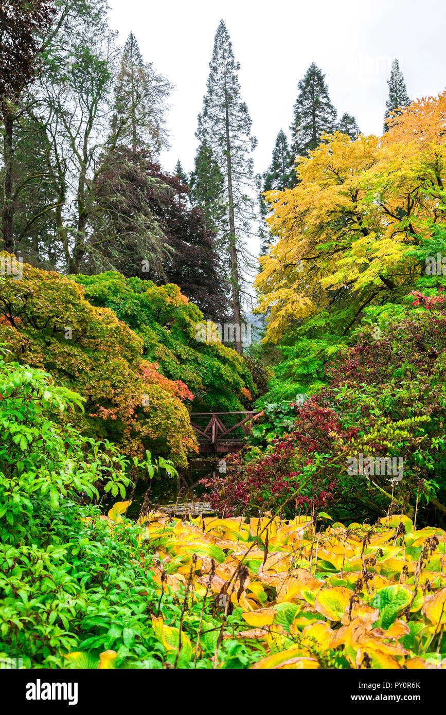 Colori d'autunno vista orizzontale a Benmore Botanic Garden, Loch Lomond e il Trossachs National Park, Scozia Foto Stock