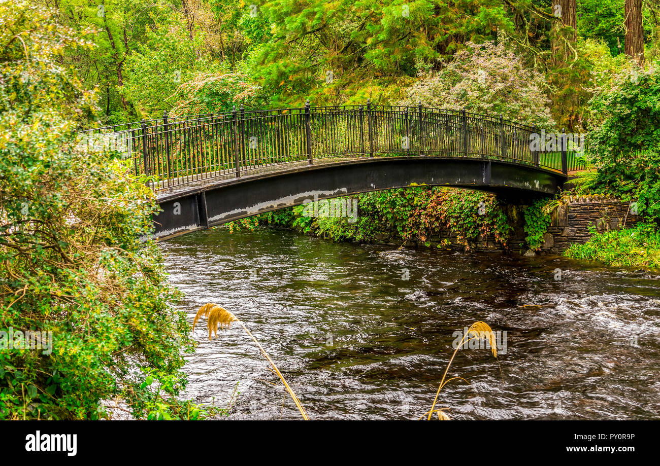 Un pedone visitatore del ponte sul fiume Eachaig in Benmore Botanic Garden, Loch Lomond e il Trossachs National Park, Scozia Foto Stock