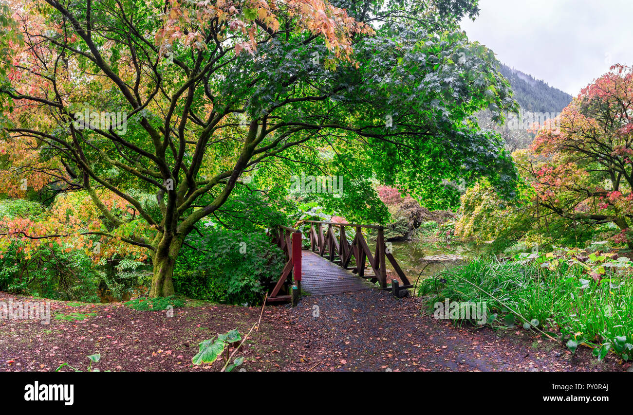 Un piccolo ponte in prossimità di scenic stagno in autunno a Benmore Botanic Garden, Loch Lomond e il Trossachs National Park, Scozia Foto Stock