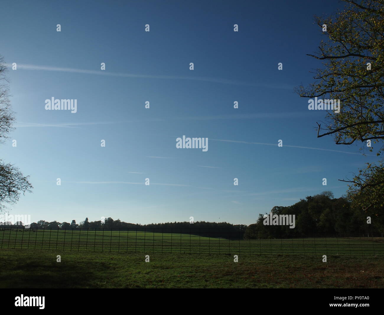 Blue sky con sentieri a getto Foto Stock
