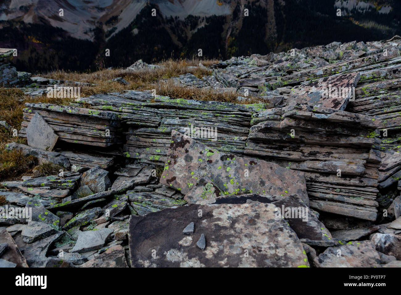 Sedimenti di vari ambienti antichi impiegano milioni di anni per lithify in strati sovrapposti che vediamo nelle montagne rocciose. Foto Stock