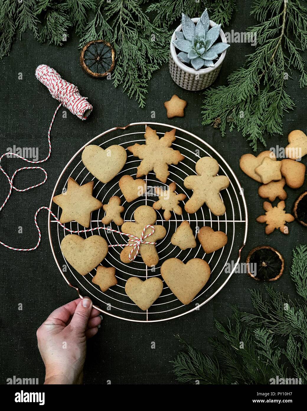 Donna di mano su una griglia di raffreddamento con Natale gingerbread cookie Foto Stock