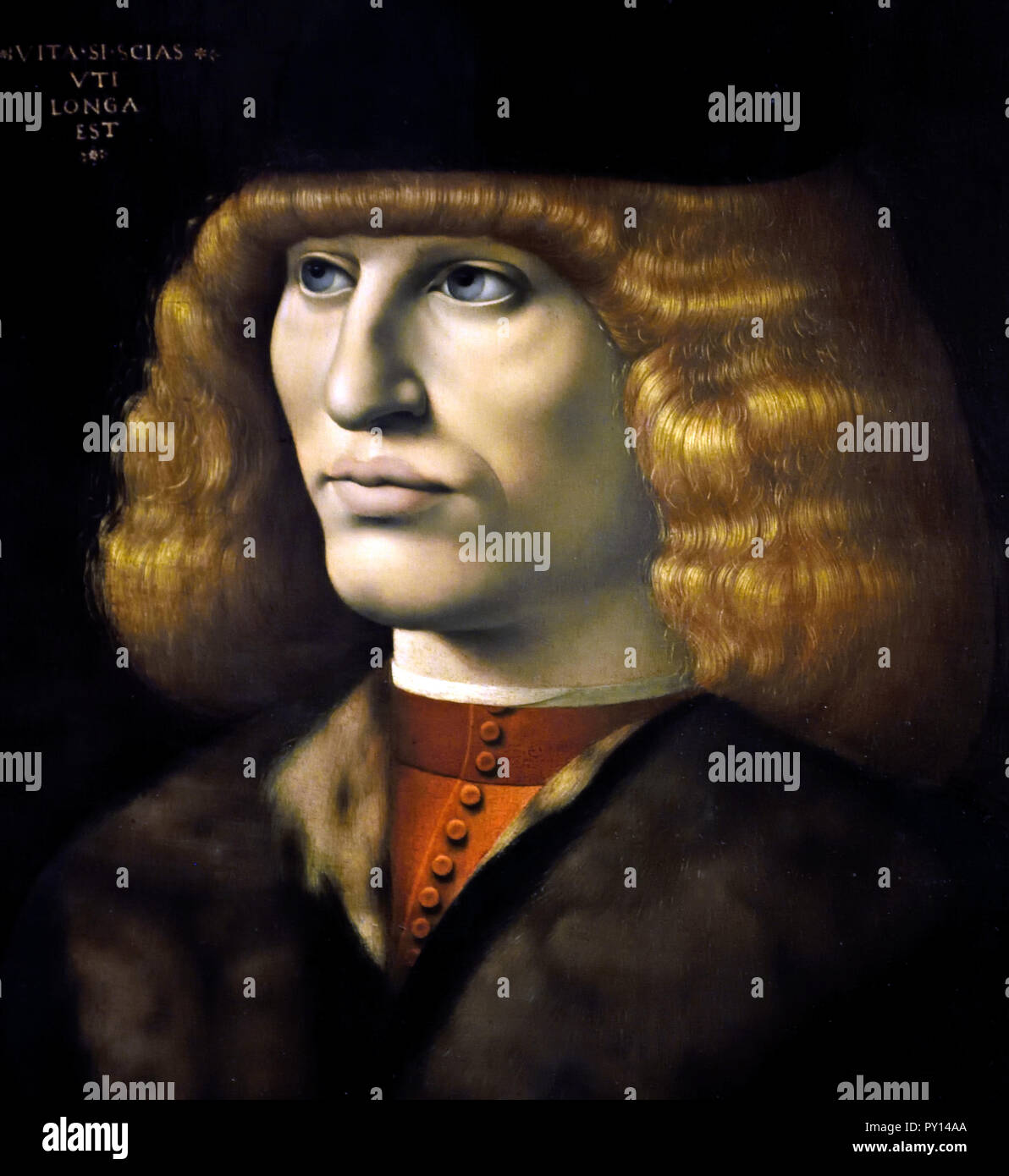 Giovanni Antonio Boltraffio Immagini e Fotos Stock Alamy