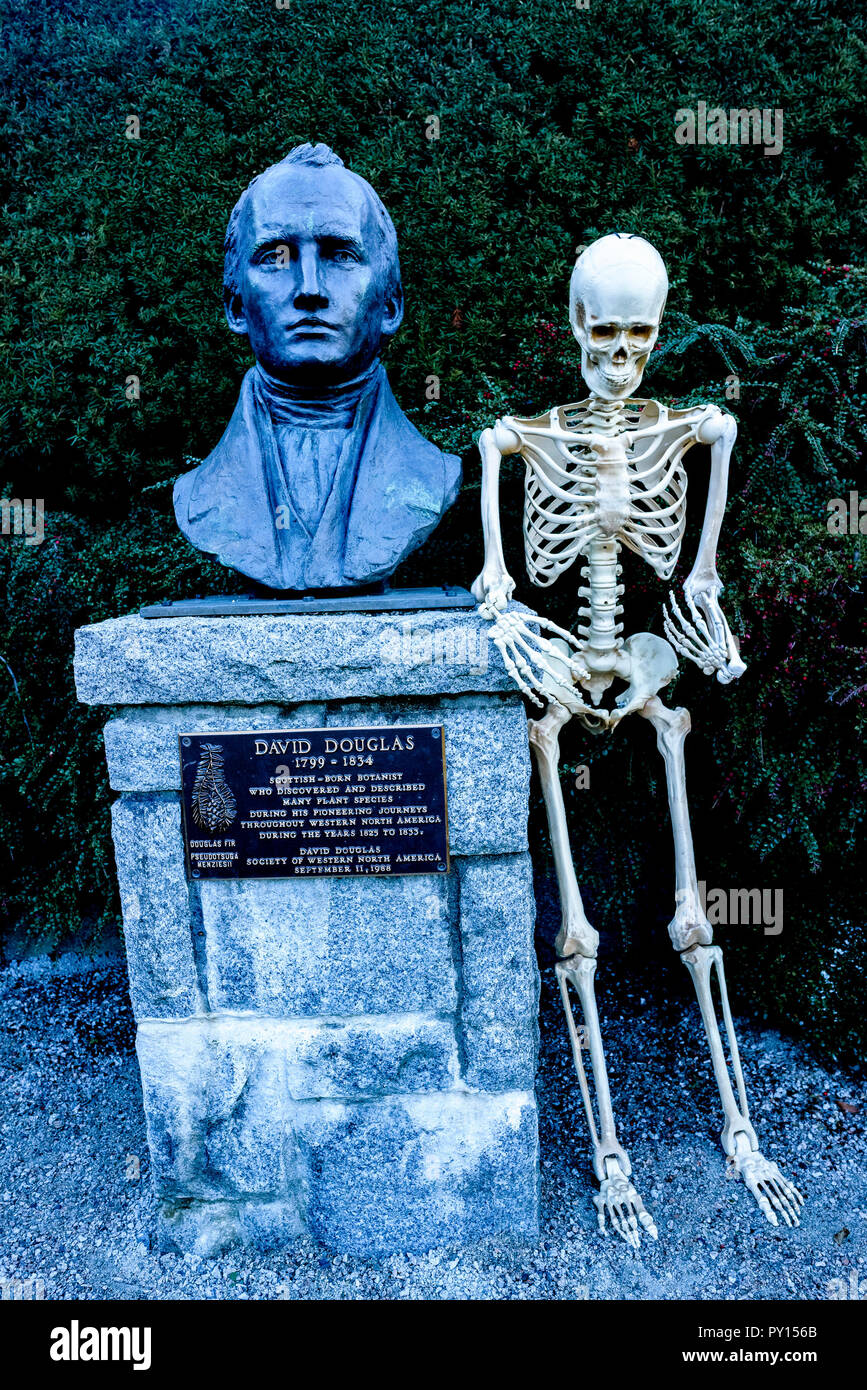 Lo scheletro accanto al busto del botanico David Douglas, Van Dusen Giardino Botanico, Vancouver, British Columbia, Canada Foto Stock