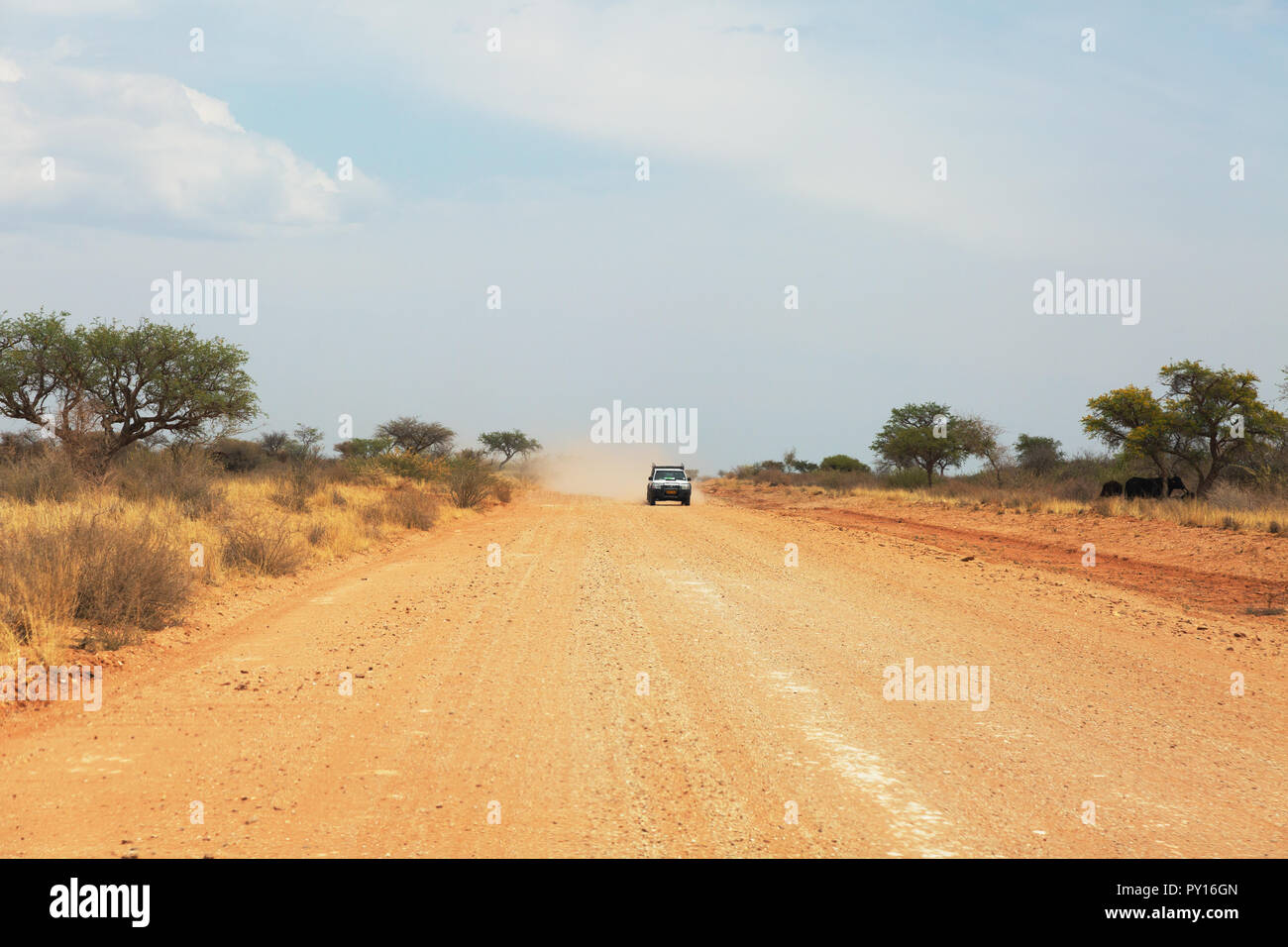 La Namibia guida - una guida auto sulle strade di ghiaia attraverso il deserto del Namib vicino Sossuvlei Namibia Africa Foto Stock