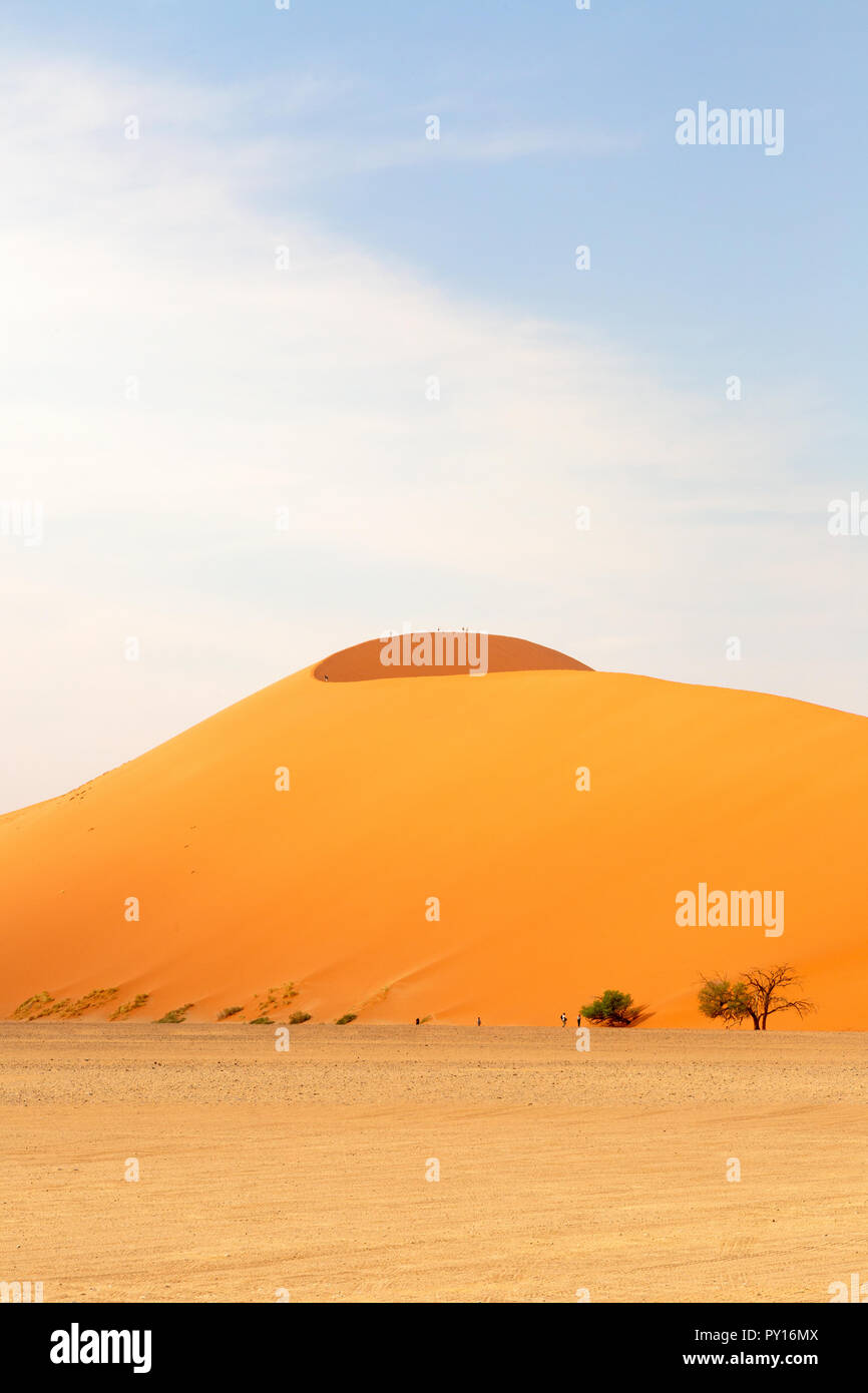 Dune 45 un ben noto e dune di sabbia del deserto del Namib e Sossusvlei, Namibia Africa Foto Stock