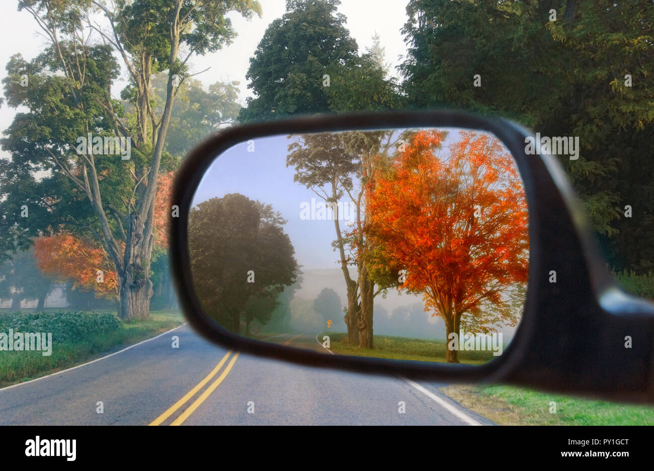 Foglie di autunno e gli alberi come si vede in una vettura lo specchietto retrovisore sulla strada di un paese. Foto Stock