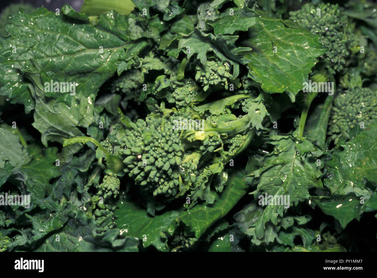 Cibo Brocoli Rabe Rappini Foto Stock