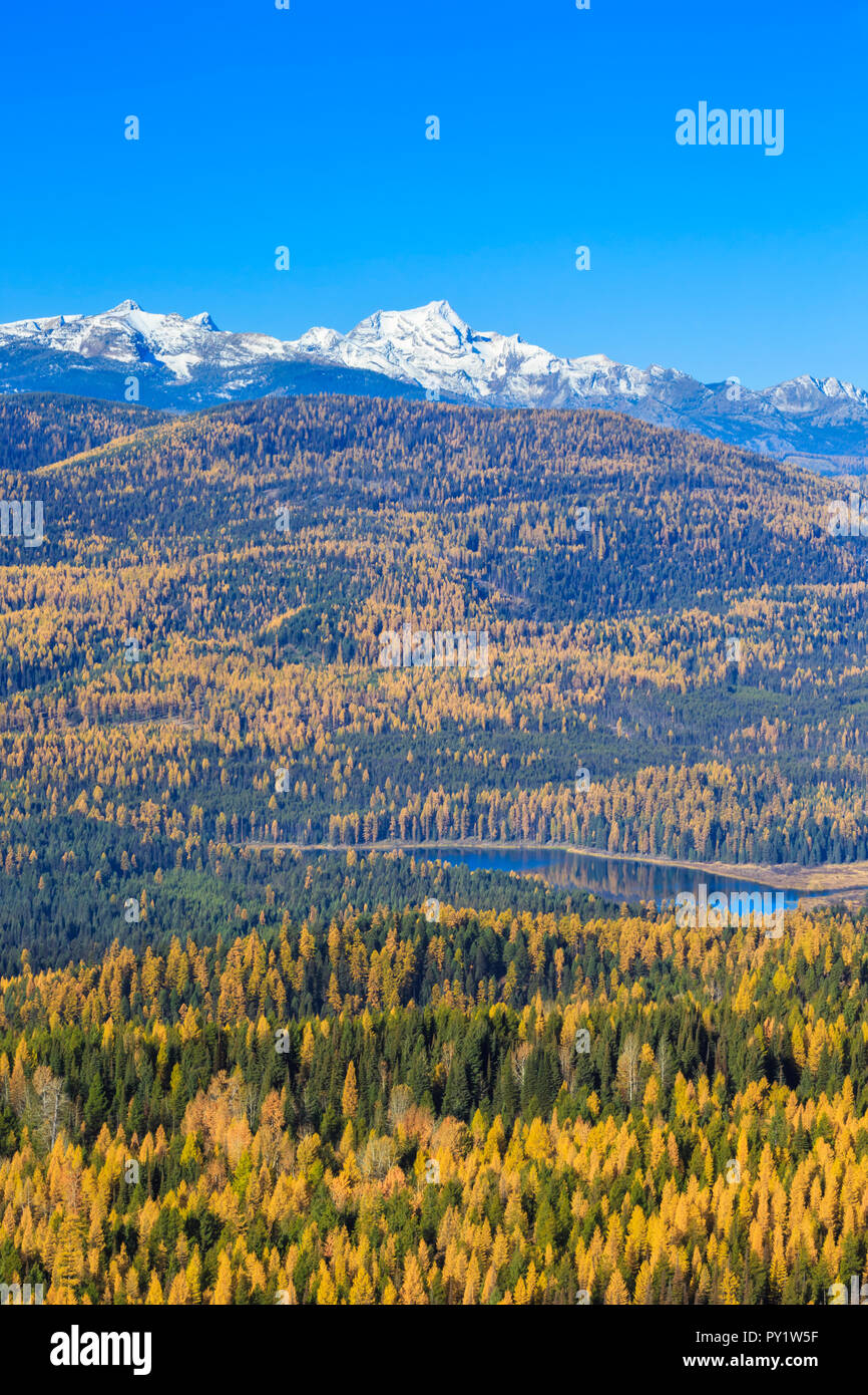 Lago di pioggia sotto le colline di larice in autunno a colori e le vette delle montagne di missione nei pressi di Condon, montana Foto Stock