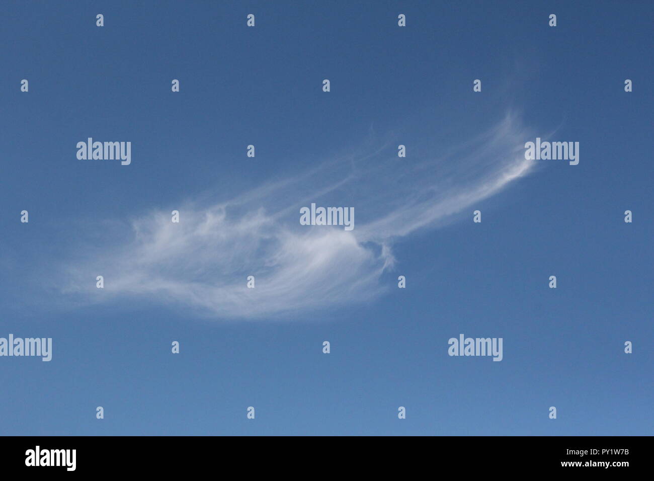 Semplice e ispirando colpo di cielo blu su un inizio giornata estiva con un singolo whispy cloud flottante in una leggera brezza. Foto Stock