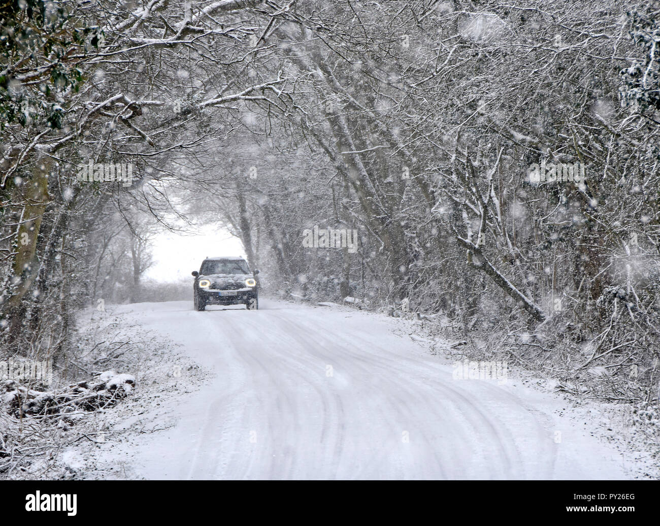 Fari abbaglianti sulla guida attraverso la caduta di neve sulla strada di campagna coperta di neve tunnel di alberi bosco scena alberi innevati bad inverno meteo Essex England Regno Unito Foto Stock