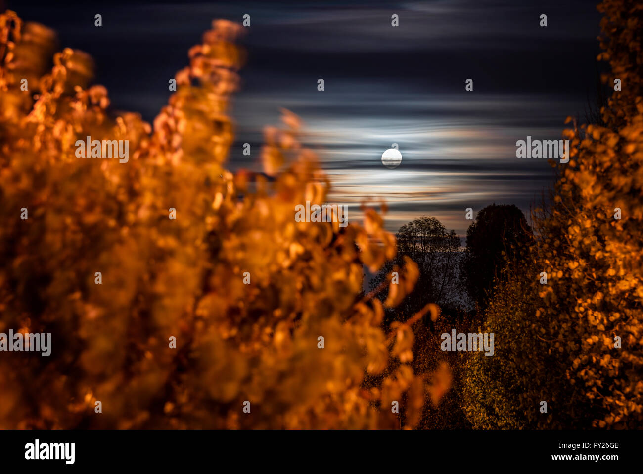 Luna autunno Foto Stock