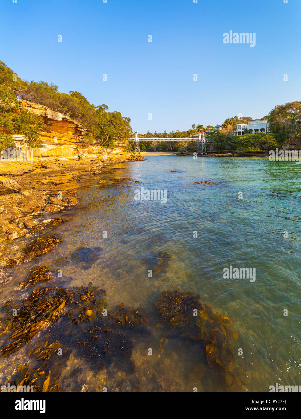 Prezzemolo Bay riserva nella Vaucluse, Sydney. Nuovo Galles del Sud, Australia Foto Stock