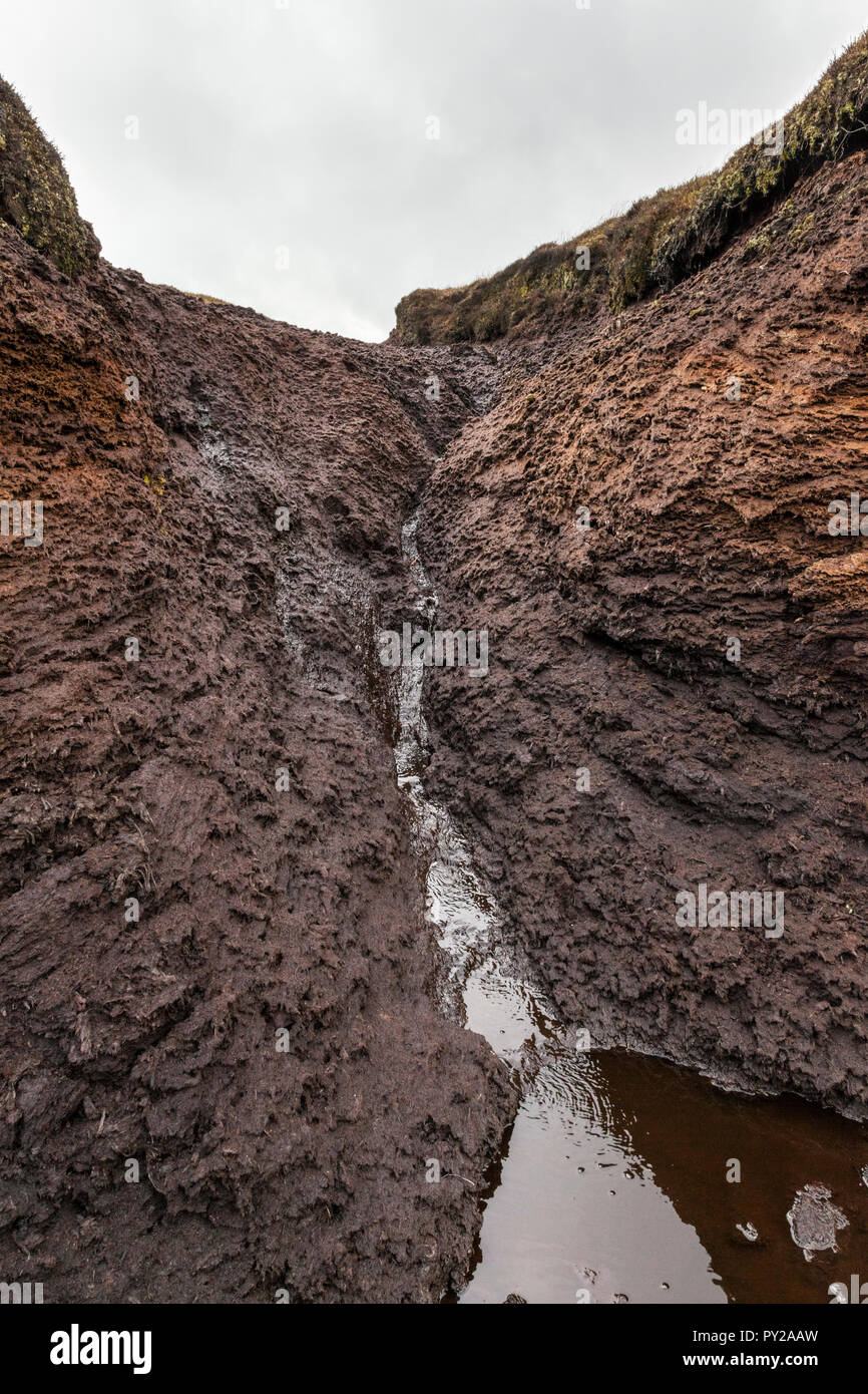 Moor erosione. Close up di acqua che scorre verso il basso il lato di un fangoso torba hag in un burrone o grough sulla brughiera al Kinder Scout, Derbyshire, England, Regno Unito Foto Stock