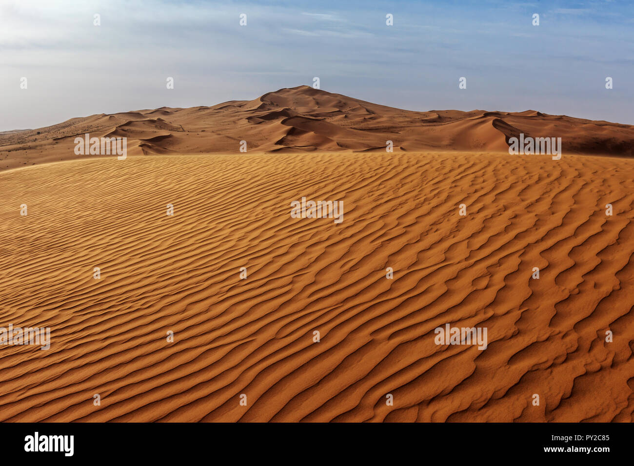 Le dune di sabbia del deserto, Arabia Saudita Foto Stock
