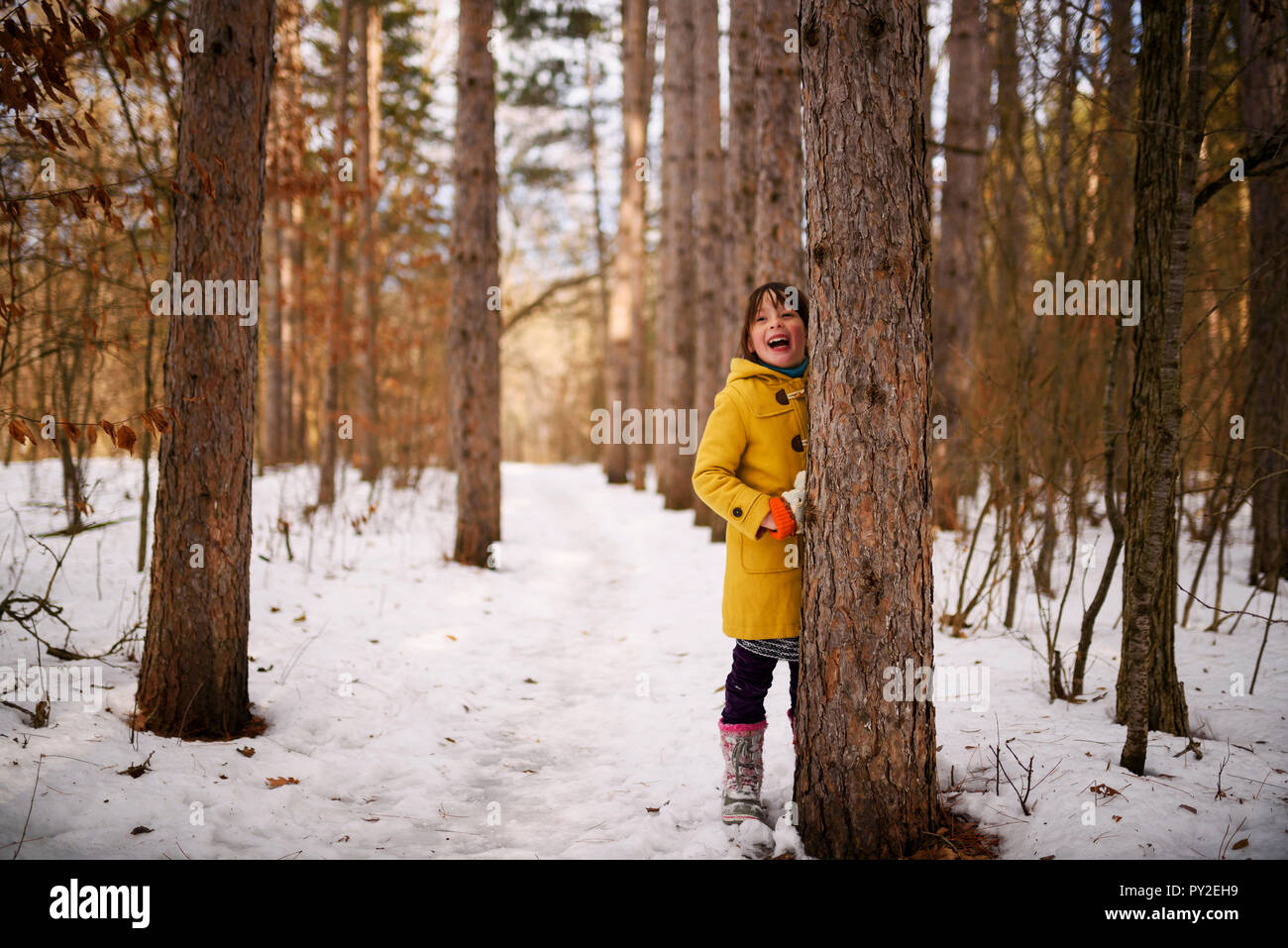 Sorridente bambina che si nasconde dietro un albero nel bosco, Stati Uniti Foto Stock