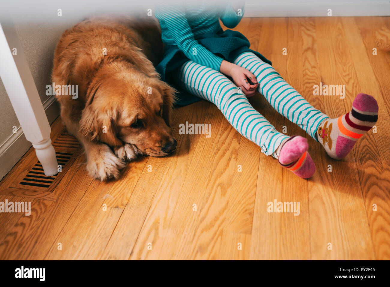 Ragazza seduta sotto una tabella con il suo golden retriever cane Foto Stock