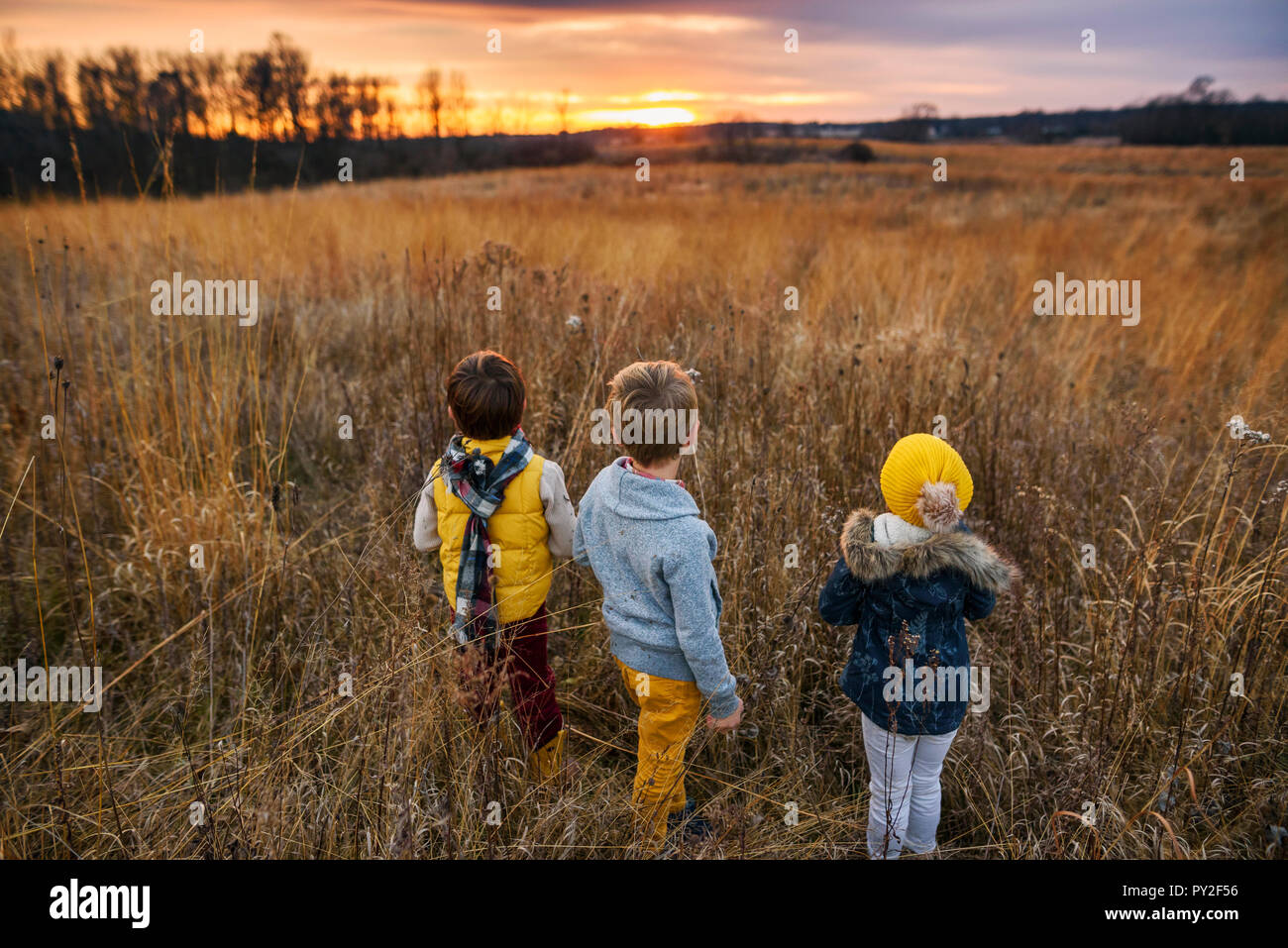 Tre bambini in piedi in un campo al tramonto, Stati Uniti Foto Stock