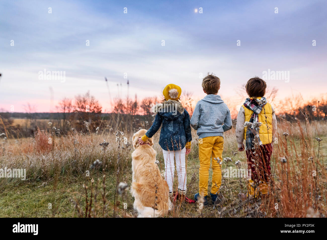 Tre bambini in un campo al tramonto con il loro golden retriever cane, Stati Uniti Foto Stock