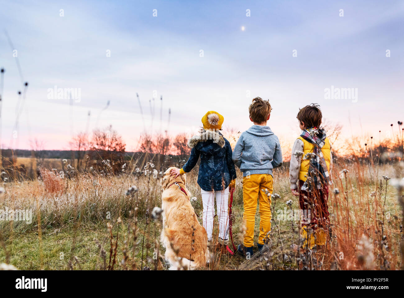 Tre bambini in un campo al tramonto con il loro golden retriever cane, Stati Uniti Foto Stock