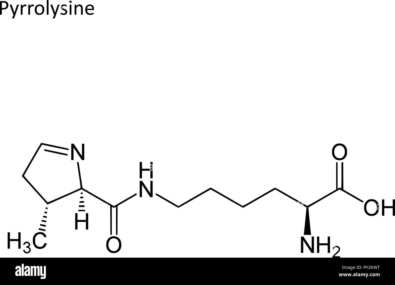 Formula di scheletro. Amminoacido molecola Illustrazione Vettoriale