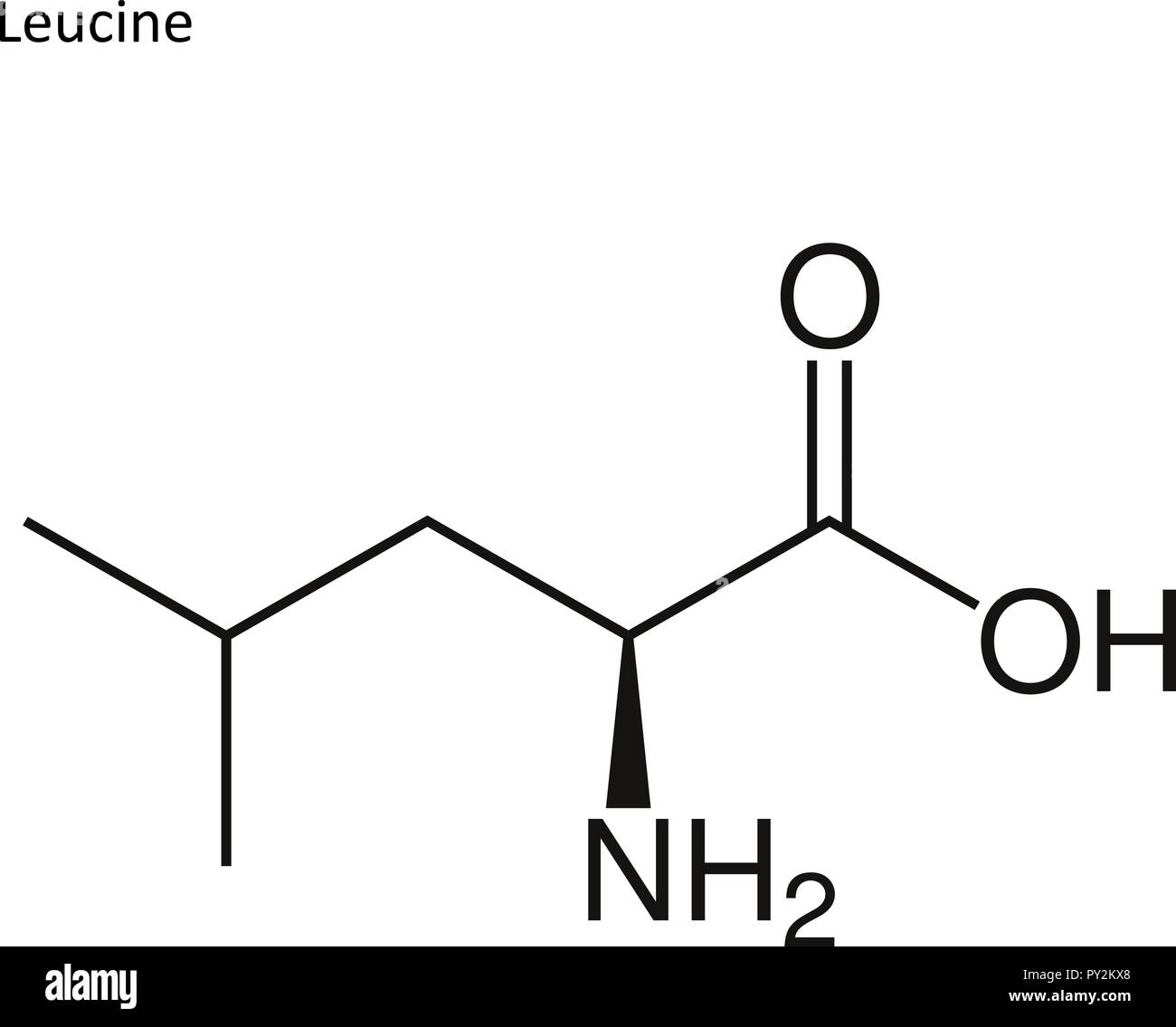 Formula di scheletro. Amminoacido molecola Illustrazione Vettoriale