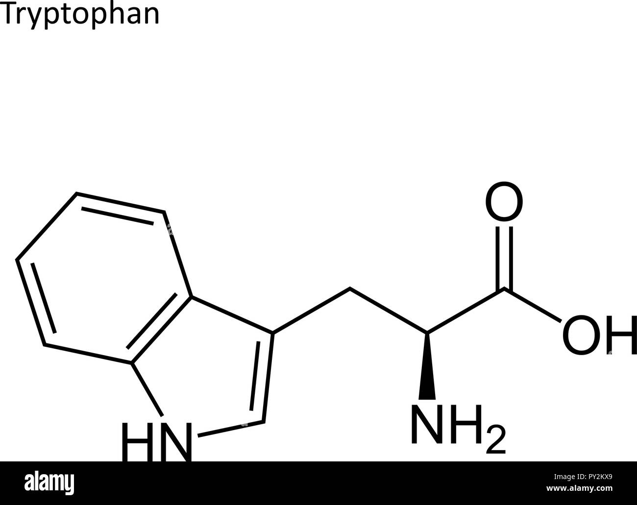Formula di scheletro. Amminoacido molecola Illustrazione Vettoriale