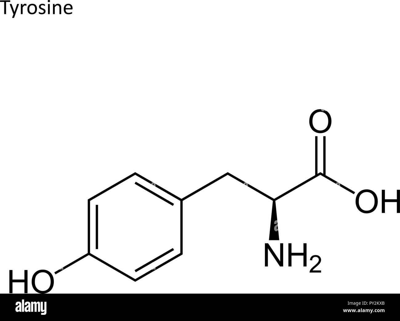Formula di scheletro. Amminoacido molecola Illustrazione Vettoriale