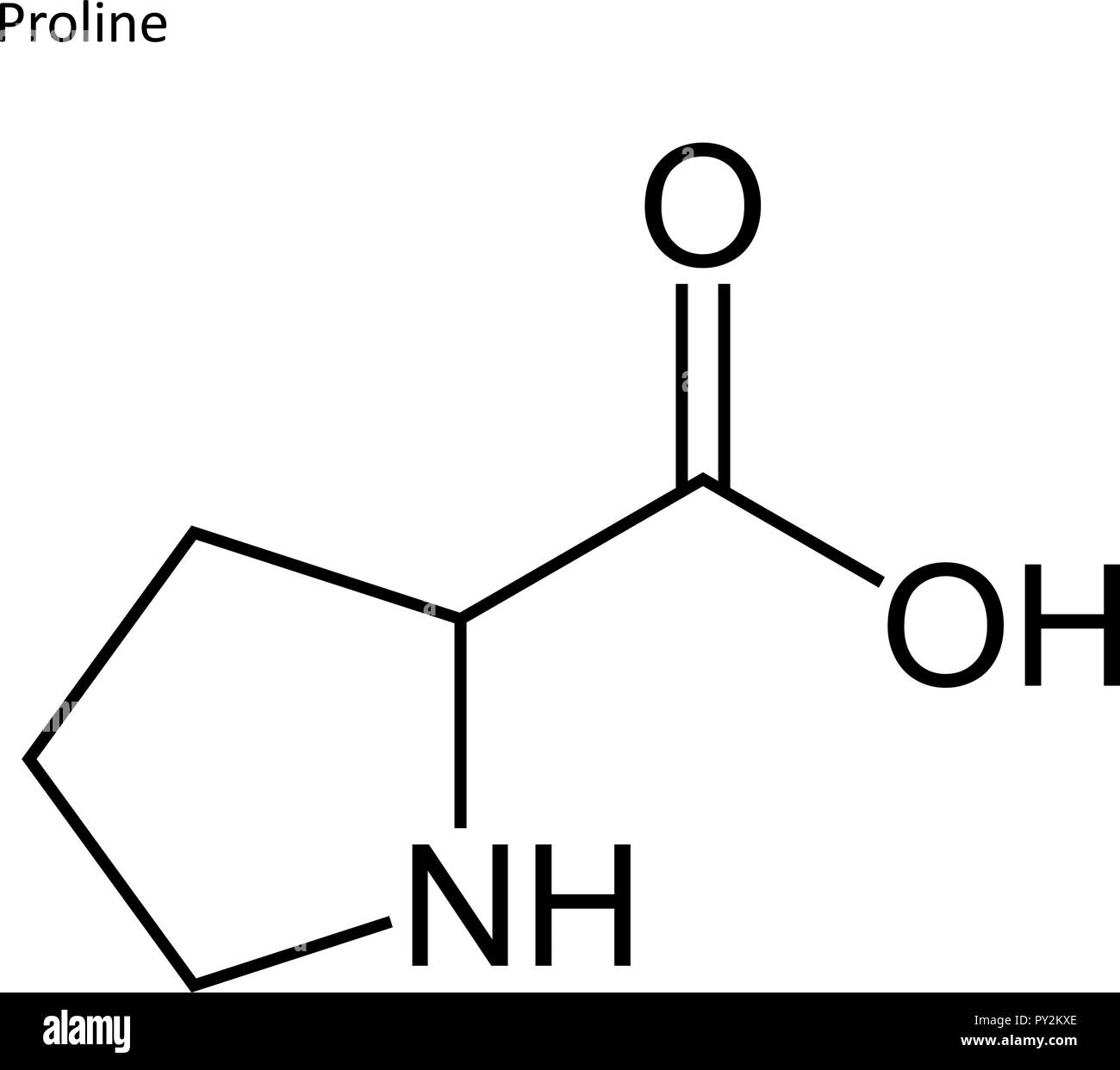 Formula di scheletro. Amminoacido molecola Illustrazione Vettoriale
