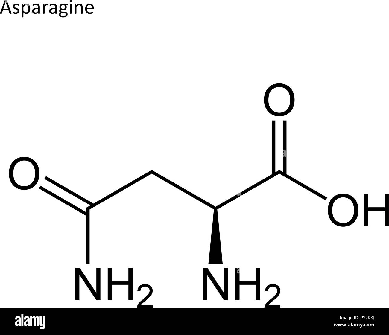 Formula di scheletro. Amminoacido molecola Illustrazione Vettoriale