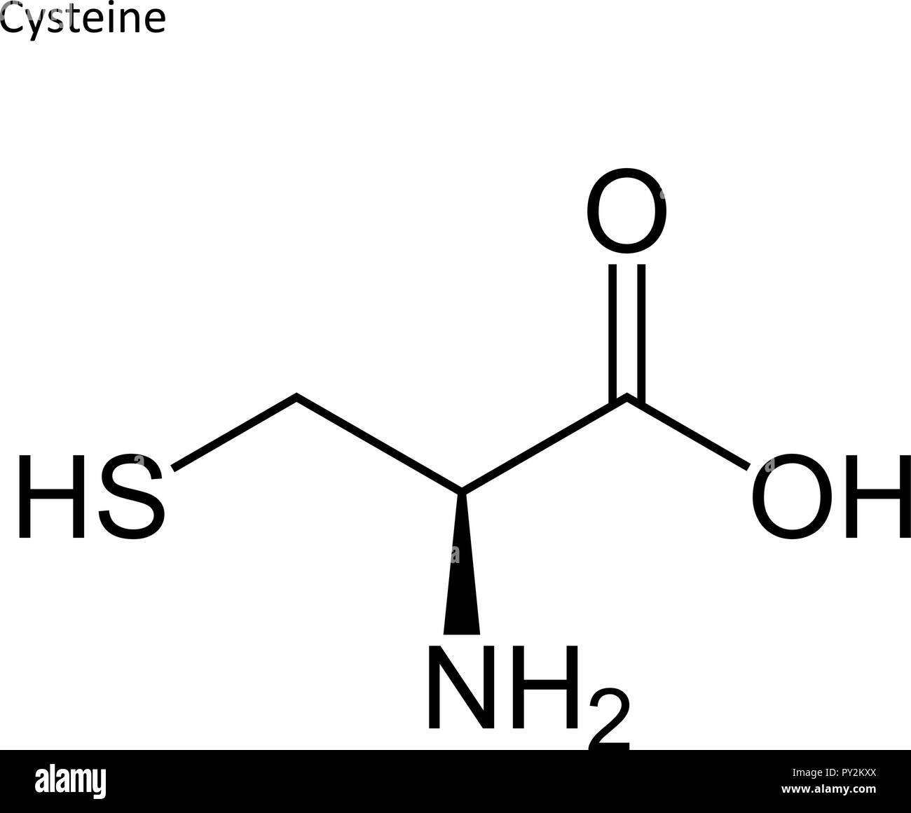 Formula di scheletro. Amminoacido molecola Illustrazione Vettoriale
