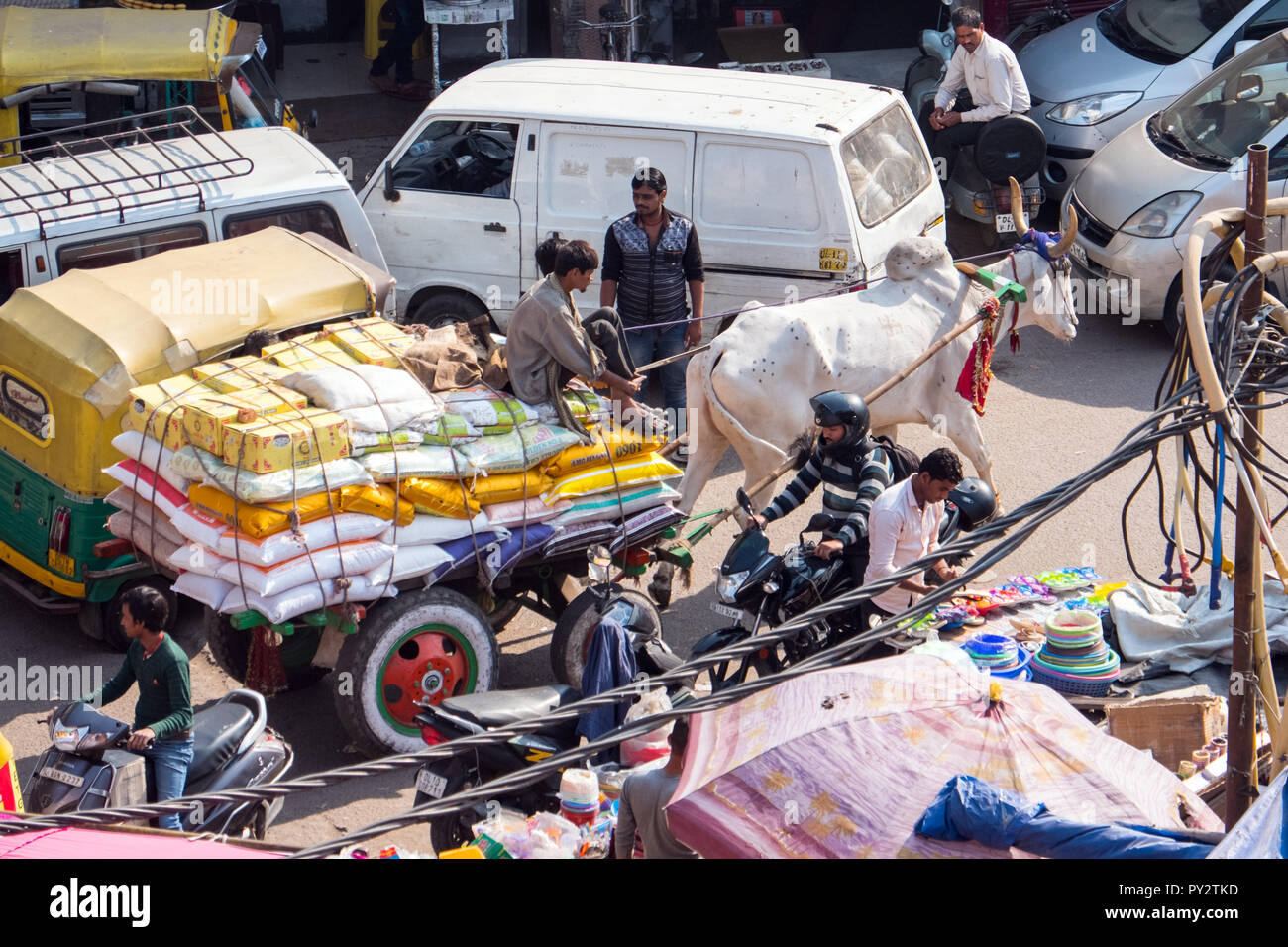 Carrello di giovenco in tipicamente trafficata strada di Delhi, India Foto Stock