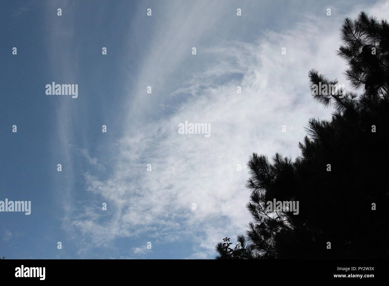 Affascinante i modelli cloud contro il cielo blu chiaro con alberi in primo piano. Girato in una piacevole metà giornata estiva. Foto Stock
