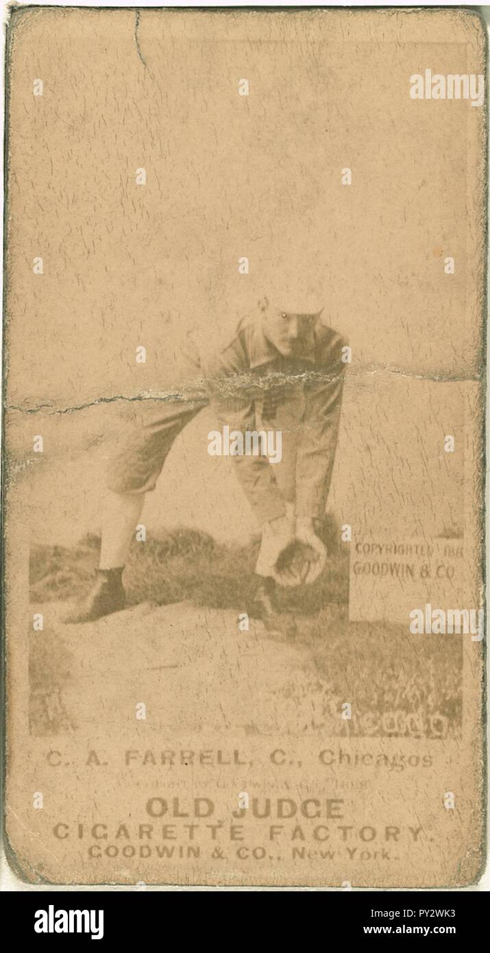 C. A. Farrell, Chicago calze bianche, baseball card ritratto Foto Stock